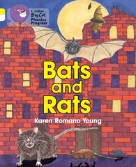 Bats and Rats: Band 03 Yellow/Band 10 White цена и информация | Книги для подростков и молодежи | 220.lv