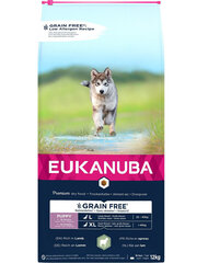 Eukanuba Grain Free L Puppy для щенков крупных пород с ягненком, 12 кг цена и информация |  Сухой корм для собак | 220.lv