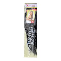 Мел для прядей Pre-Peigne X-Pression Nº 1 (1X2) цена и информация | Аксессуары для волос | 220.lv