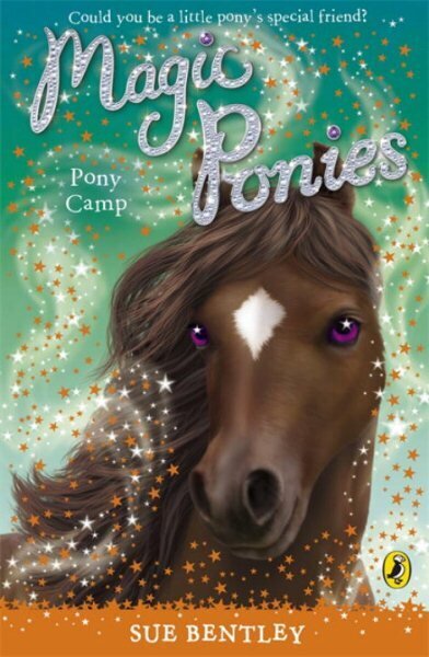 Magic Ponies: Pony Camp цена и информация | Grāmatas pusaudžiem un jauniešiem | 220.lv