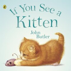 If You See A Kitten cena un informācija | Grāmatas pusaudžiem un jauniešiem | 220.lv
