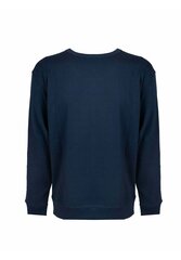 Champion džemperis vīriešiem HBGF88H586N8A-Z0Q, zils cena un informācija | Vīriešu jakas | 220.lv