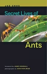 Secret Lives of Ants cena un informācija | Grāmatas par veselīgu dzīvesveidu un uzturu | 220.lv