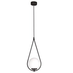 Piekaramā lampa V-4770 cena un informācija | Lustras | 220.lv