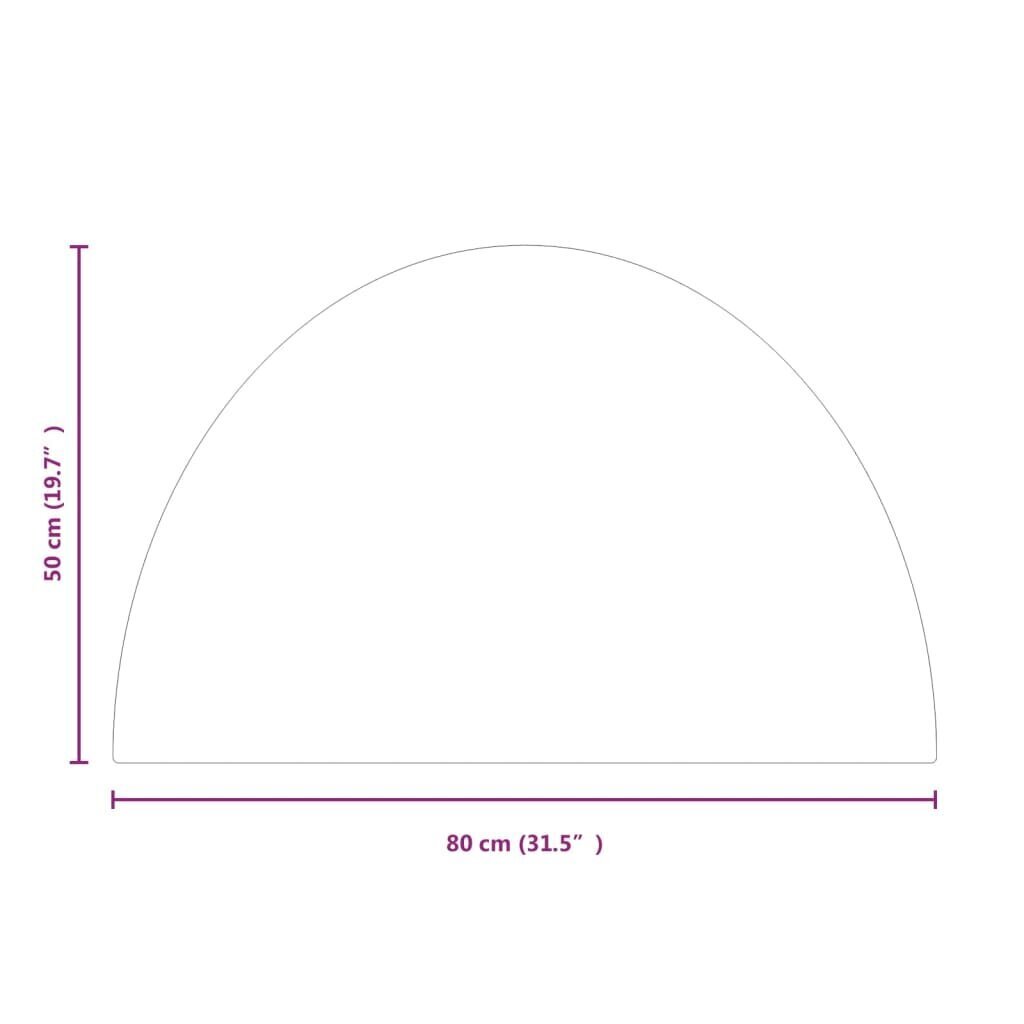 Kamīna plāksne vidaXL, 800x500 mm cena un informācija | Kamīni | 220.lv