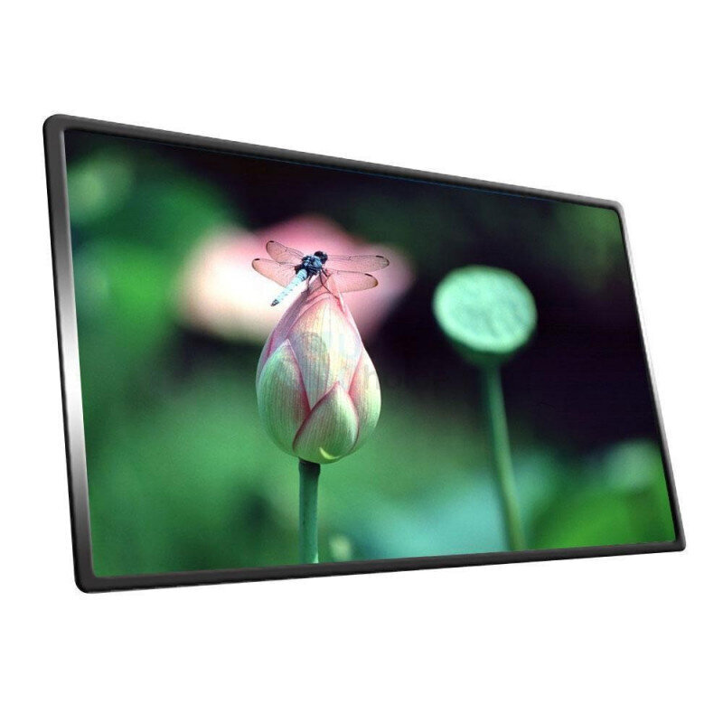 LG 15.6" WXGA/ 1366x768/ 40 pin. цена и информация | Komponentu piederumi | 220.lv