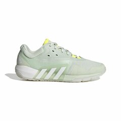 Женские спортивные кроссовки Adidas  Terrex Two Серый цена и информация | Спортивная обувь, кроссовки для женщин | 220.lv