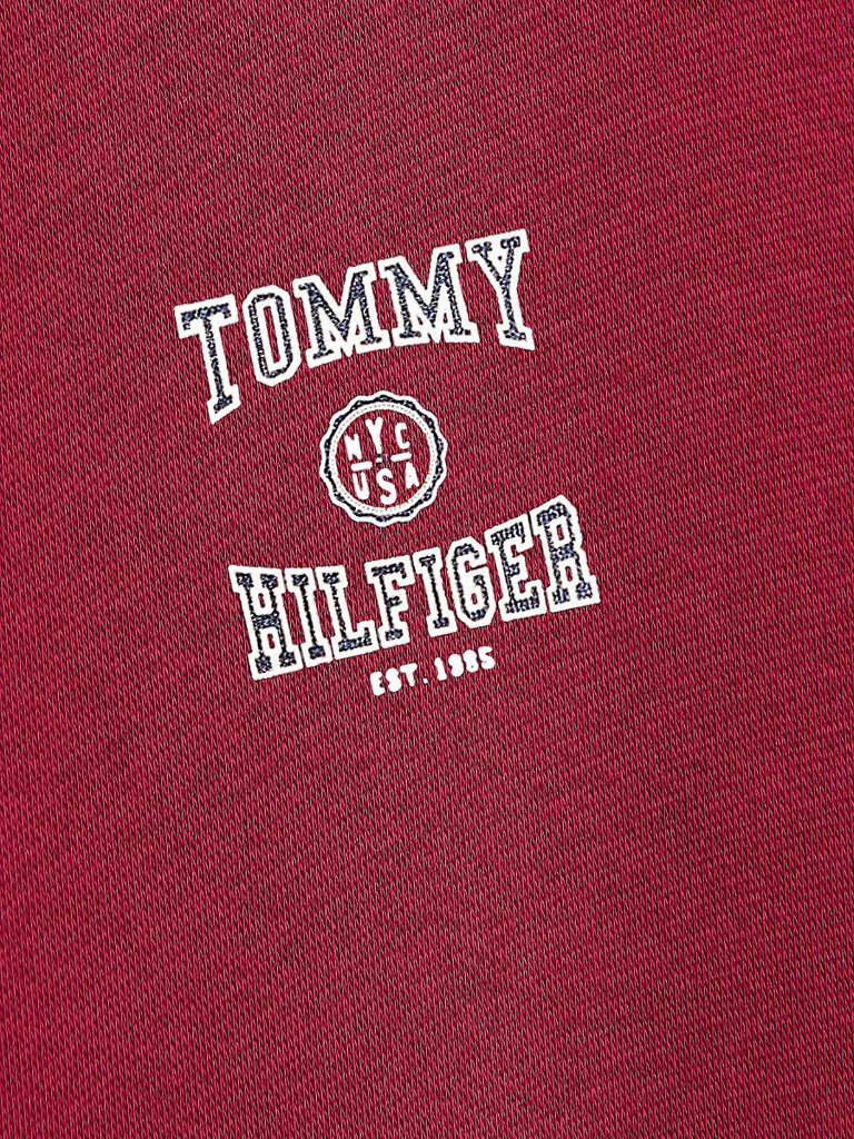 Tommy Hilfiger džemperis zēniem, sarkans цена и информация | Jakas, džemperi, žaketes, vestes meitenēm | 220.lv