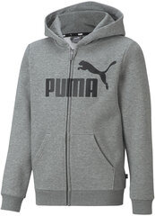 Puma Джемпер Ess + 2 Col Big Logo Grey 586987 03 586987 03/164 цена и информация | Свитеры, жилетки, пиджаки для мальчиков | 220.lv