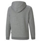 Džemperis zēniem Puma, pelēks cena un informācija | Zēnu jakas, džemperi, žaketes, vestes | 220.lv