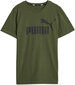 T-krekls zēniem Puma, zaļš cena un informācija | Zēnu krekli | 220.lv