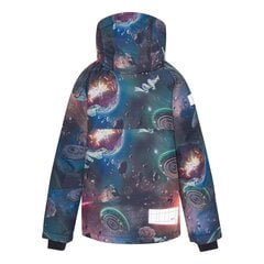 Детская куртка Molo синий/зелёный цена и информация | Куртки для мальчиков | 220.lv