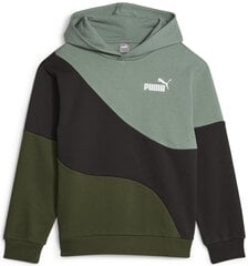 Puma Джемпер Power Cat Hoodie Fl Black Green 674232 31 674232 31/176 цена и информация | Свитеры, жилетки, пиджаки для мальчиков | 220.lv