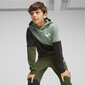 Puma džemperis zēniem, dažādas krāsas cena un informācija | Zēnu jakas, džemperi, žaketes, vestes | 220.lv