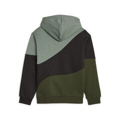 Puma džemperis zēniem, dažādas krāsas cena un informācija | Zēnu jakas, džemperi, žaketes, vestes | 220.lv