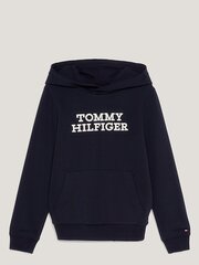 TOMMY HILFIGER Bold Varsity Sweatshirt Kb0Kb08497Dw5 Desert Sky 540125316 цена и информация | Свитеры, жилетки, пиджаки для мальчиков | 220.lv