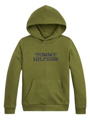 TOMMY HILFIGER Tommy Hilfiger Logo Hoodie Kb0Kb08500Ms2 Putting Green 540125322 цена и информация | Свитеры, жилетки, пиджаки для мальчиков | 220.lv