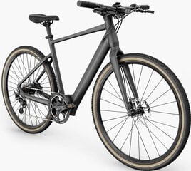 Электровелосипед FIIDO Gravel C21, серый, 250Вт цена и информация | Электровелосипеды | 220.lv