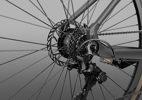 Elektriskais velosipēds FIIDO Gravel C21, pelēks cena un informācija | Elektrovelosipēdi | 220.lv