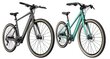 Elektriskais velosipēds FIIDO Gravel C21, pelēks cena un informācija | Elektrovelosipēdi | 220.lv