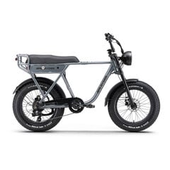 Elektriskais velosipēds APE Ryder A10, 20", melns cena un informācija | Elektrovelosipēdi | 220.lv