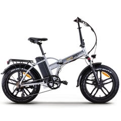 Elektriskais velosipēds Skyjet RSIII Pro 20", pelēks cena un informācija | Elektrovelosipēdi | 220.lv