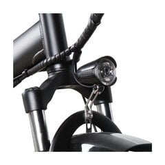 Электрический велосипед Skyjet RSIII Pro 20", серый цена и информация | Электровелосипеды | 220.lv