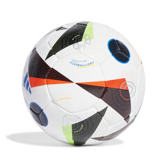 Футбольный мяч Adidas Euro24 Futsal Pro Island IN9364 цена и информация | Футбольные мячи | 220.lv