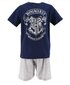 Pidžama zēniem HarryPotter EV2032*02, zila цена и информация | Zēnu pidžamas, halāti | 220.lv