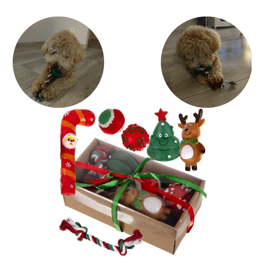 Ziemassvētku dāvana sunim cena un informācija | Suņu rotaļlietas | 220.lv