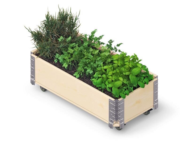 Puķu kaste ar riteņiem Herbs Box, 80x40x19,5 cm цена и информация | Siltumnīcas | 220.lv