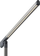 Philips galda lampa Sword DSK610 цена и информация | Настольные лампы | 220.lv
