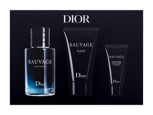 Parfimērijas ūdens Christian Dior Sauvage EDP, 60 ml цена и информация | Мужские духи | 220.lv