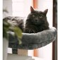 Kaķu koks, 71 cm, pelēks cena un informācija | Kaķu mājas, nagu asināmie | 220.lv
