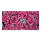 Reprodukcija Augu rozes cena un informācija | Gleznas | 220.lv