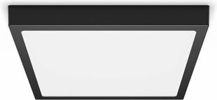 Philips Magneos DL252 - griestu lampa, kvadrātveida, melna, 2000 lm, 2700K цена и информация | Потолочный светильник | 220.lv