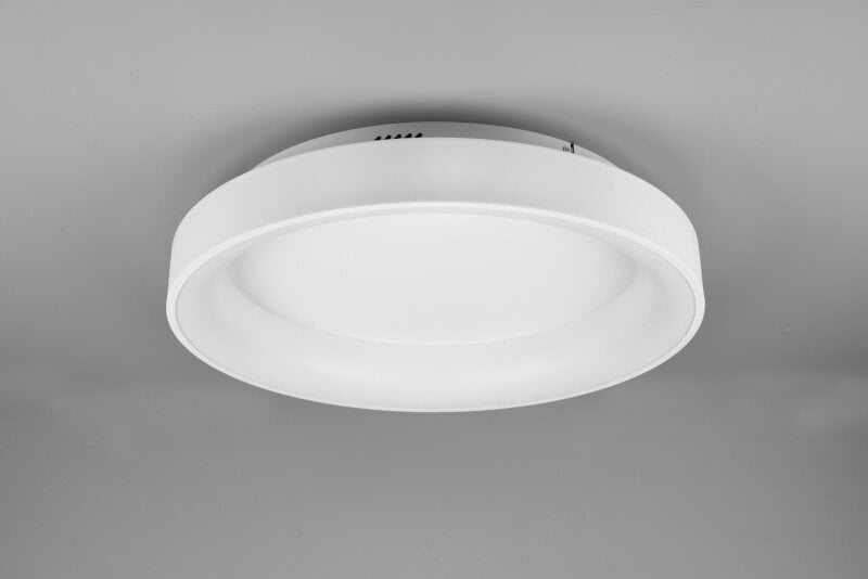 Trio Girona LED plāksne, 60 cm, balta, 5600 lm, baltas gaismas toņi cena un informācija | Griestu lampas | 220.lv