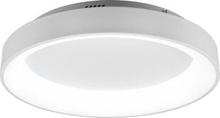 Trio Girona LED plāksne, 60 cm, balta, 5600 lm, baltas gaismas toņi cena un informācija | Griestu lampas | 220.lv