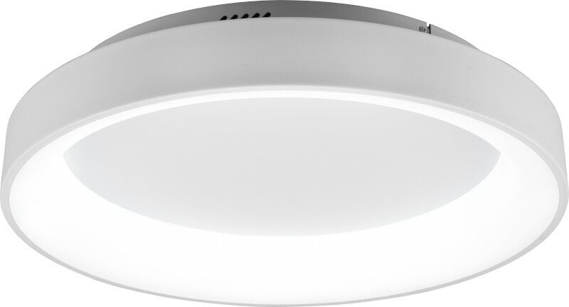 Trio Girona LED plāksne, 60 cm, balta, 5600 lm, baltas gaismas toņi цена и информация | Griestu lampas | 220.lv