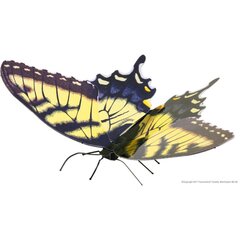 Metāla konstruktors Metal Earth Butterfly Tiger Swallowtail цена и информация | Kонструкторы | 220.lv