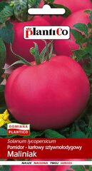 Помидоры низкие Maliniak, 0.5 г цена и информация | Семена овощей, ягод | 220.lv