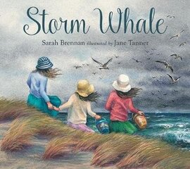 Storm Whale cena un informācija | Grāmatas mazuļiem | 220.lv