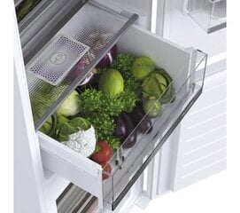Haier HBW5519ECM цена и информация | Холодильники | 220.lv