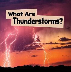 What Are Thunderstorms? цена и информация | Книги для малышей | 220.lv