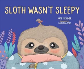 Sloth Wasn't Sleepy cena un informācija | Grāmatas mazuļiem | 220.lv