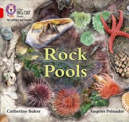 Rock Pools: Band 02b/Red B cena un informācija | Grāmatas mazuļiem | 220.lv
