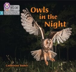 Owls in the Night: Phase 3 Set 2 цена и информация | Книги для подростков и молодежи | 220.lv