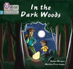 In the Dark Woods: Phase 3 Set 2 цена и информация | Книги для подростков и молодежи | 220.lv