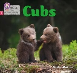 Cubs: Phase 2 Set 5 cena un informācija | Grāmatas pusaudžiem un jauniešiem | 220.lv