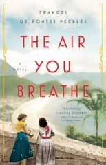 Air You Breathe: A Novel цена и информация | Фантастика, фэнтези | 220.lv
